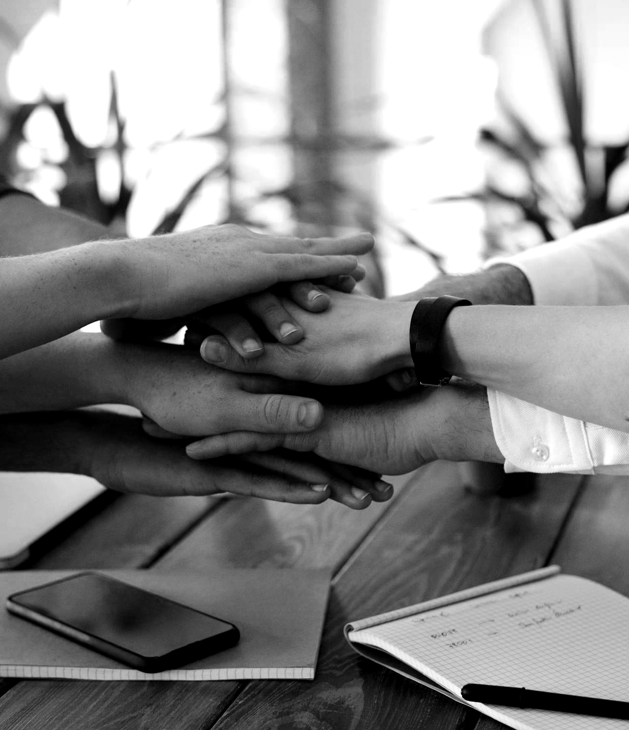 Healthcare professionals using TreatPatient